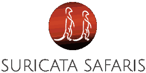 Suricata Safaris Suricata Safaris