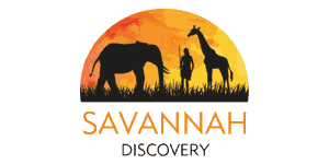 Savannah Discovery