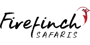Firefinch Safaris & Car Hire Logo