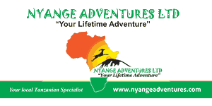 Nyange Adventures  logo
