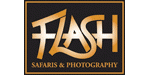 Flash Safaris and Photography