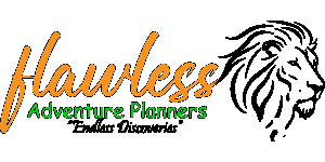 Flawless Adventure Planners Logo
