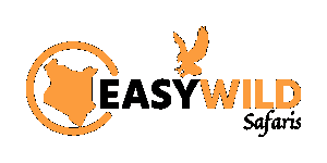 Easywild Safaris Logo