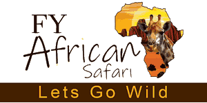 Fy African Safari