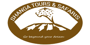 Shanga Tours And Safaris logo