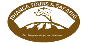 Shanga Tours And Safaris Logo