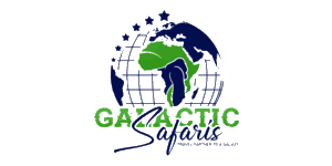 Galactic Safaris Logo