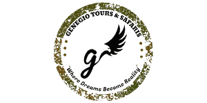 Genegio Tours and Safari Logo