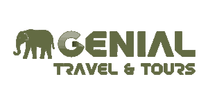Genial Travel and Tours Logo