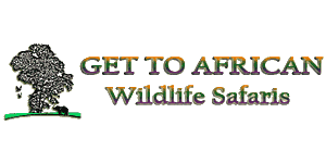 Get to African Wildlife Safaris