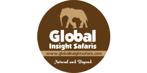 Global Insight Safaris