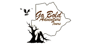 Go Bold Adventure Tours Logo