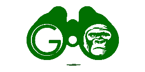 GoExplore Safaris