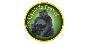 Gorilla Safaris Uganda Travel