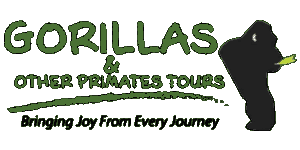 Gorillas and Other Primates Tours