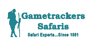 Gametrackers K Logo