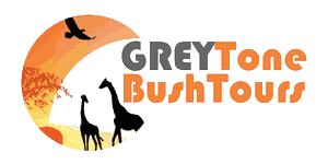 Greytone Bush Tours Logo