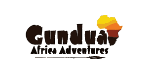 Gundua Africa Adventures  logo