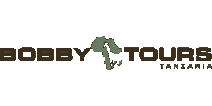 Bobby Tours Tanzania Safaris Logo