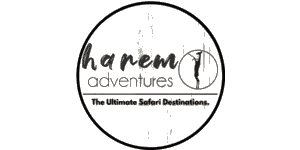 Harem Adventures Logo