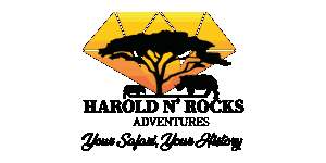 Harold n Rocks Adventure Logo
