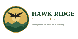 Hawk Ridge Safaris Logo