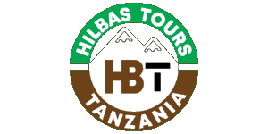 Hilbas Tours  Logo