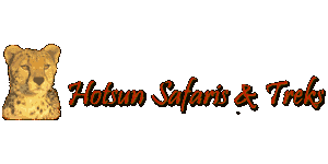 Hotsun Safaris  logo
