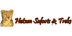 Hotsun Safaris  Logo