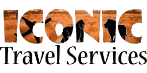 Iconic Travels Logo