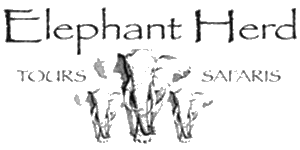 Elephant Herd Tours & Safaris Logo