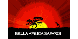 Bella Africa safaris