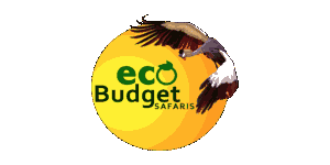 Eco Budget Safaris