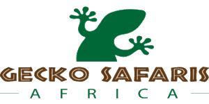 Gecko Safaris Africa