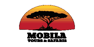 Mobila Tours and Safaris Logo