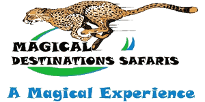 Magical Destinations Safaris Logo