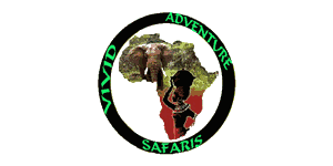 Vivid Adventure Safaris Logo