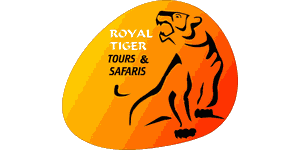 royal tiger tours and safaris