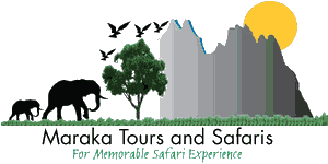 Maraka Tours & Safaris Ltd Logo