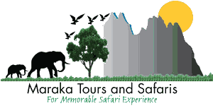 Maraka Tours & Safaris  Logo