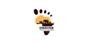 Dwayne Tours and Safaris Logo
