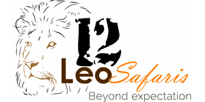 Twelve Leo Safaris
