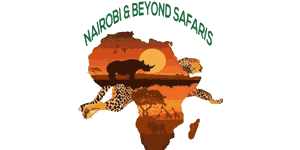 Nairobi and Beyond Safaris Logo