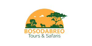 BosoDabreo Tours Safaris