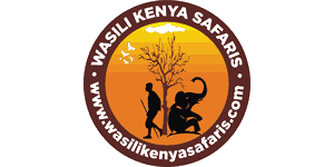 Wasili Kenya Safaris Logo