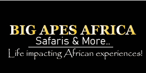 Big Apes Africa Logo