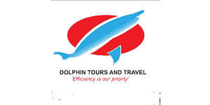 Dolphin Tours & Travel Logo