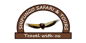 Shipungo Safari & Tours logo