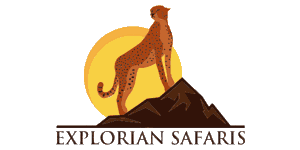 Explorian Safaris logo