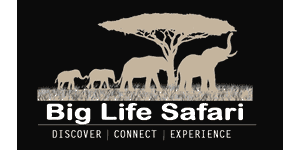 Big Life Safari Logo